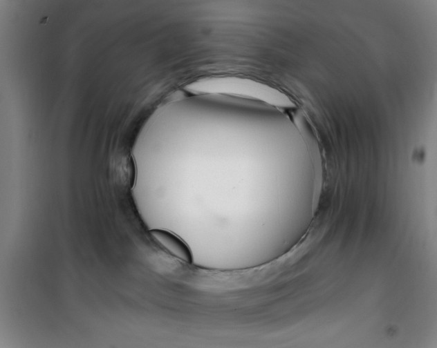 X0000099480045200805301628