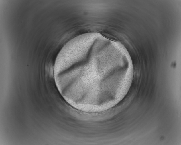 X0000099480046200805301628