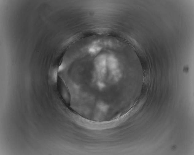 X0000099480047200805301628