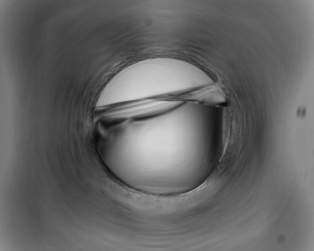 X0000099480048200805301628