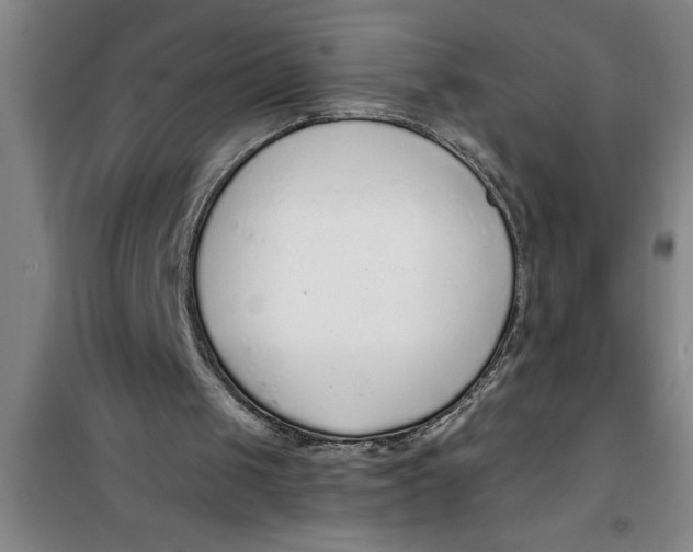 X0000099480049200805301627