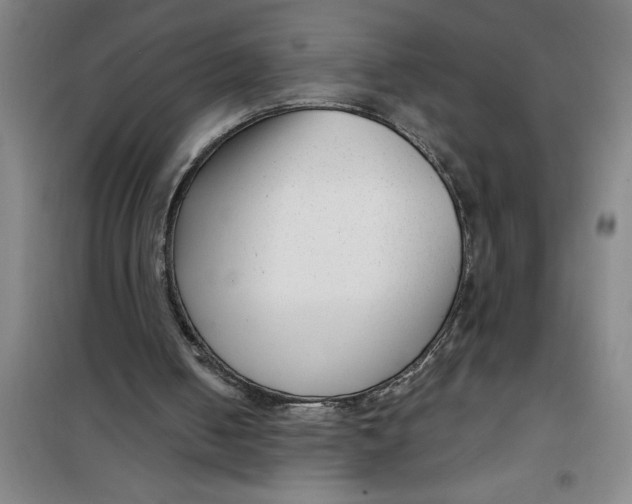 X0000099480050200805301627