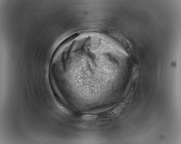 X0000099480051200805301627