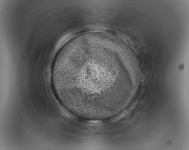 X0000099480053200805301627