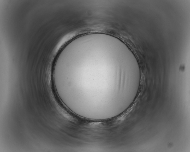 X0000099480054200805301627