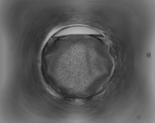 X0000099480056200805301627