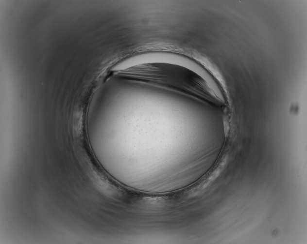 X0000099480057200805301627