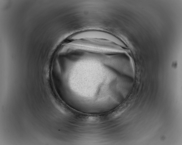 X0000099480060200805301627