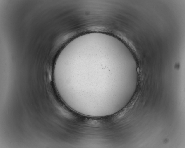 X0000099480062200805301627