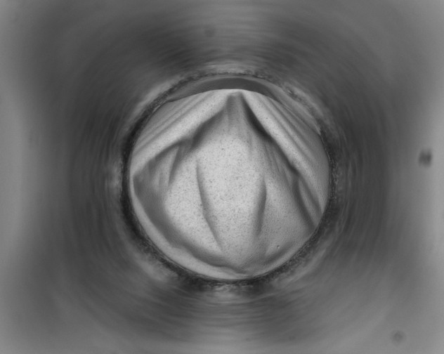 X0000099480064200805301627