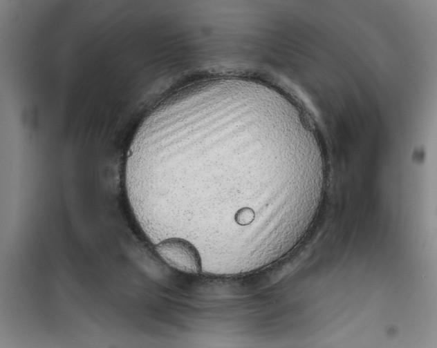 X0000099480065200805301627