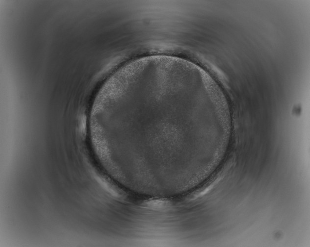 X0000099480067200805301627