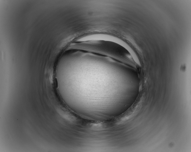 X0000099480068200805301627