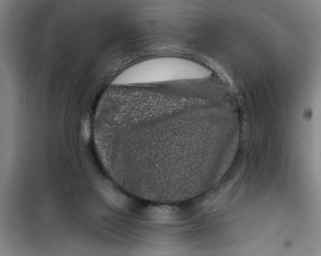 X0000099480069200805301627