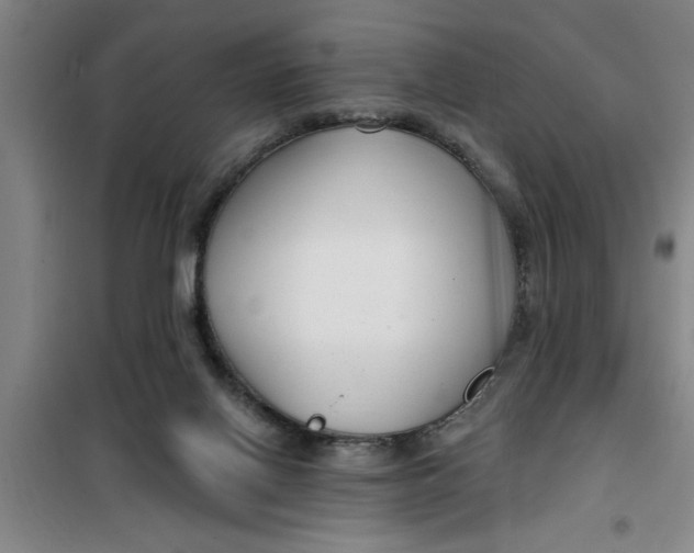 X0000099480070200805301627
