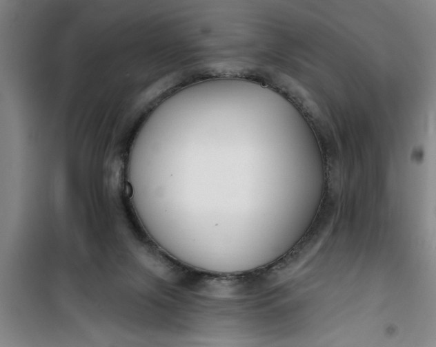 X0000099480071200805301627