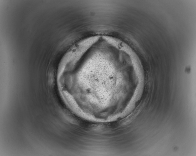 X0000099480074200805301628