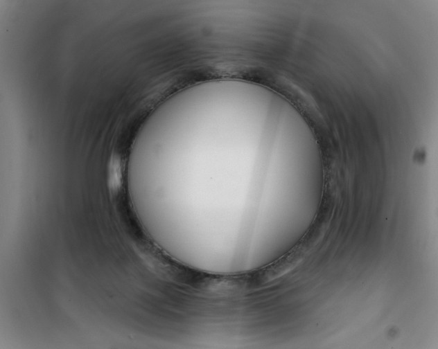X0000099480075200805301628