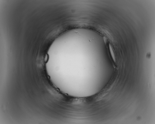 X0000099480077200805301628