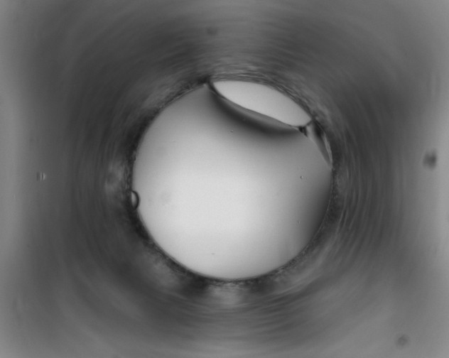 X0000099480079200805301628