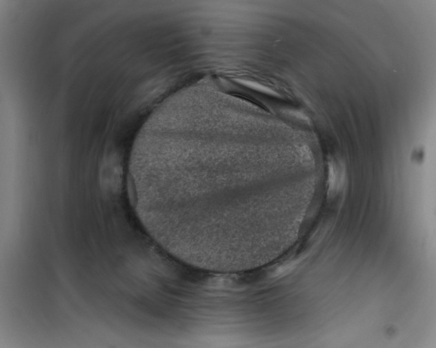 X0000099480080200805301628