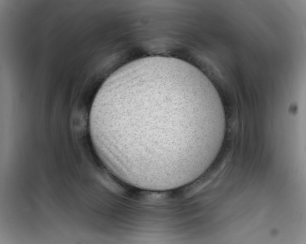 X0000099480081200805301628