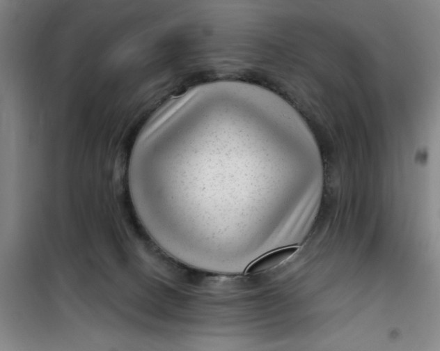 X0000099480082200805301628