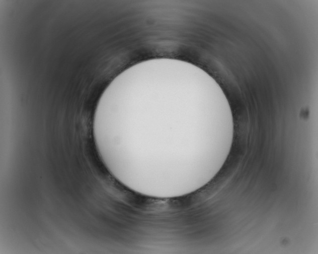 X0000099480083200805301628