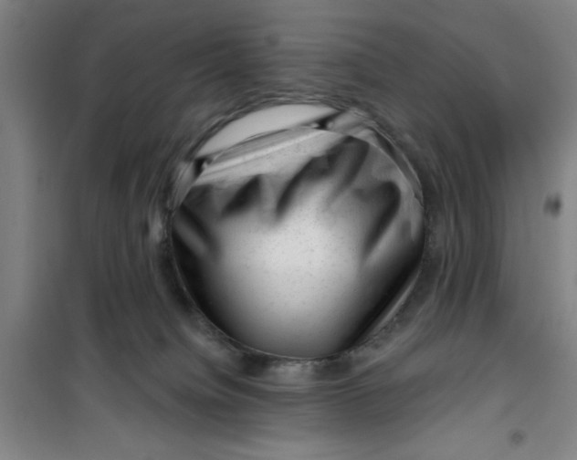 X0000099480084200805301628