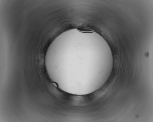 X0000099480085200805301628