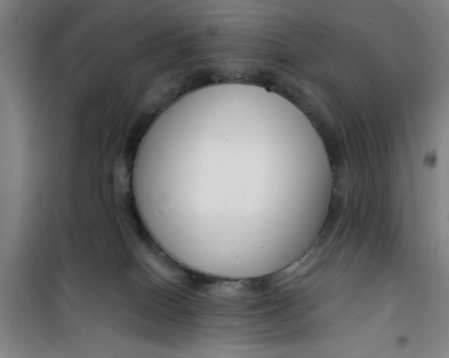 X0000099480086200805301628