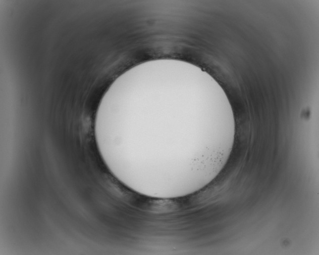 X0000099480087200805301628