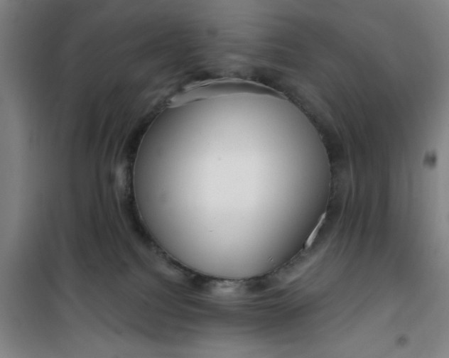 X0000099480088200805301628