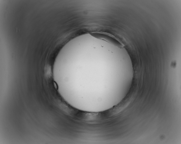 X0000099480089200805301628