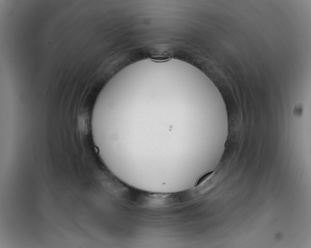 X0000099480090200805301628