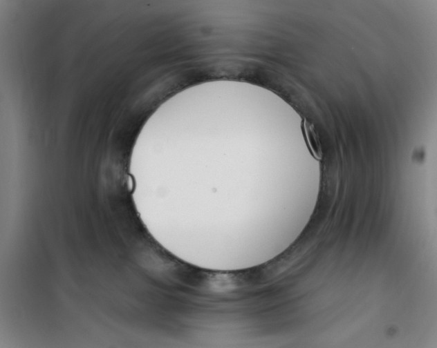 X0000099480091200805301628