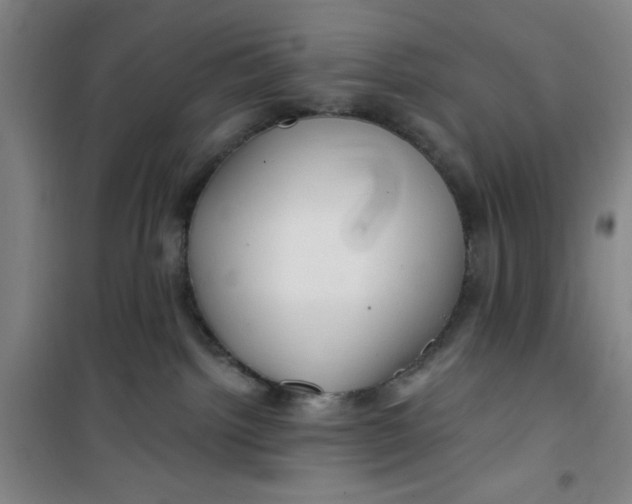 X0000099480092200805301628
