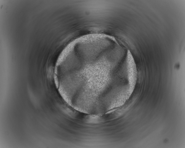 X0000099480093200805301628