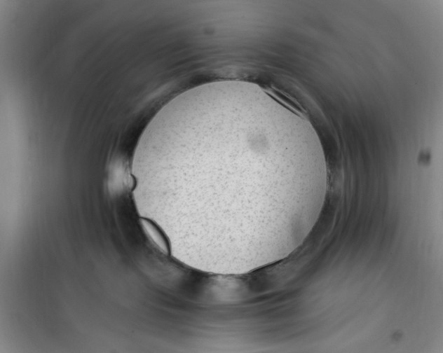 X0000099480095200805301628