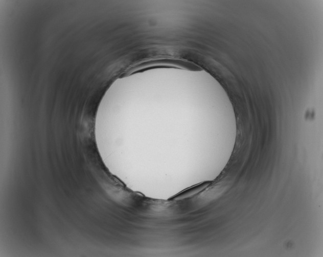 X0000099480096200805301628