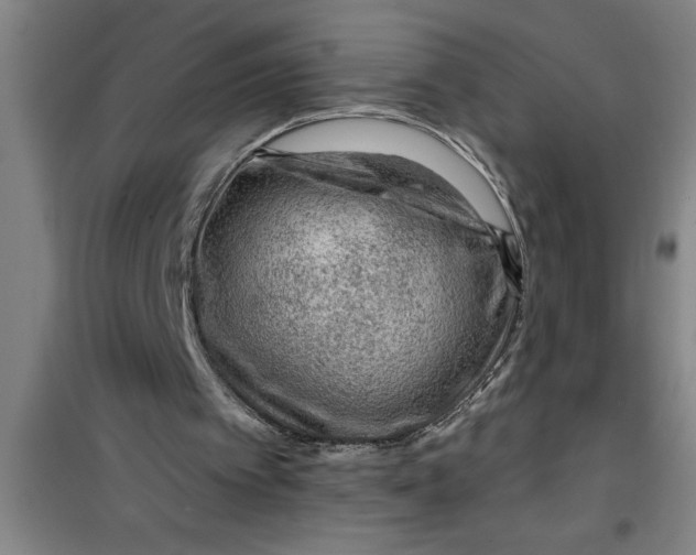 X0000099480097200805301627