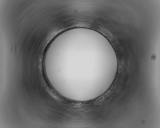 X0000099480098200805301627
