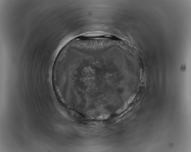 X0000099480099200805301627