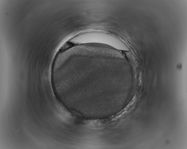 X0000099480100200805301627