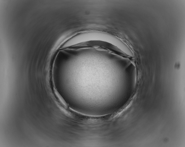 X0000099480101200805301627