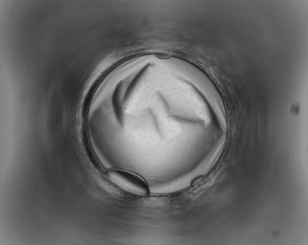 X0000099480102200805301627
