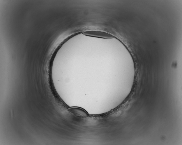 X0000099480103200805301627