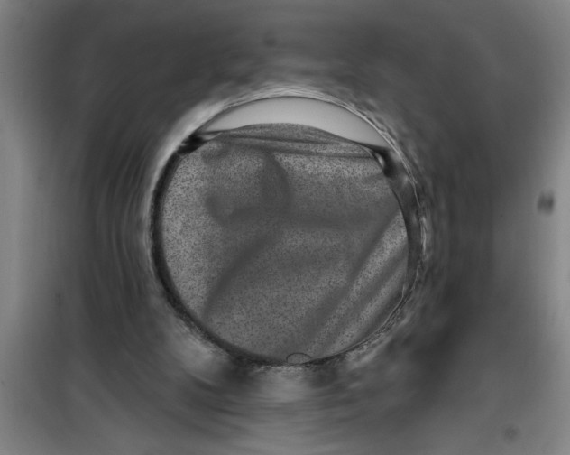 X0000099480104200805301627