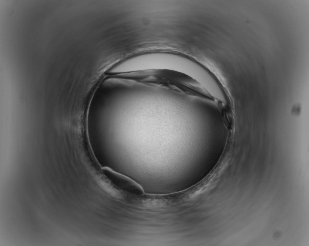 X0000099480105200805301627