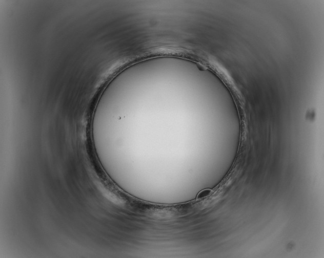 X0000099480106200805301627